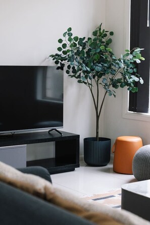 Televisión