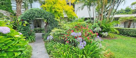 Terrein van de accommodatie