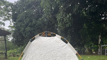 Tienda de campaña, vista a la colina | Wifi