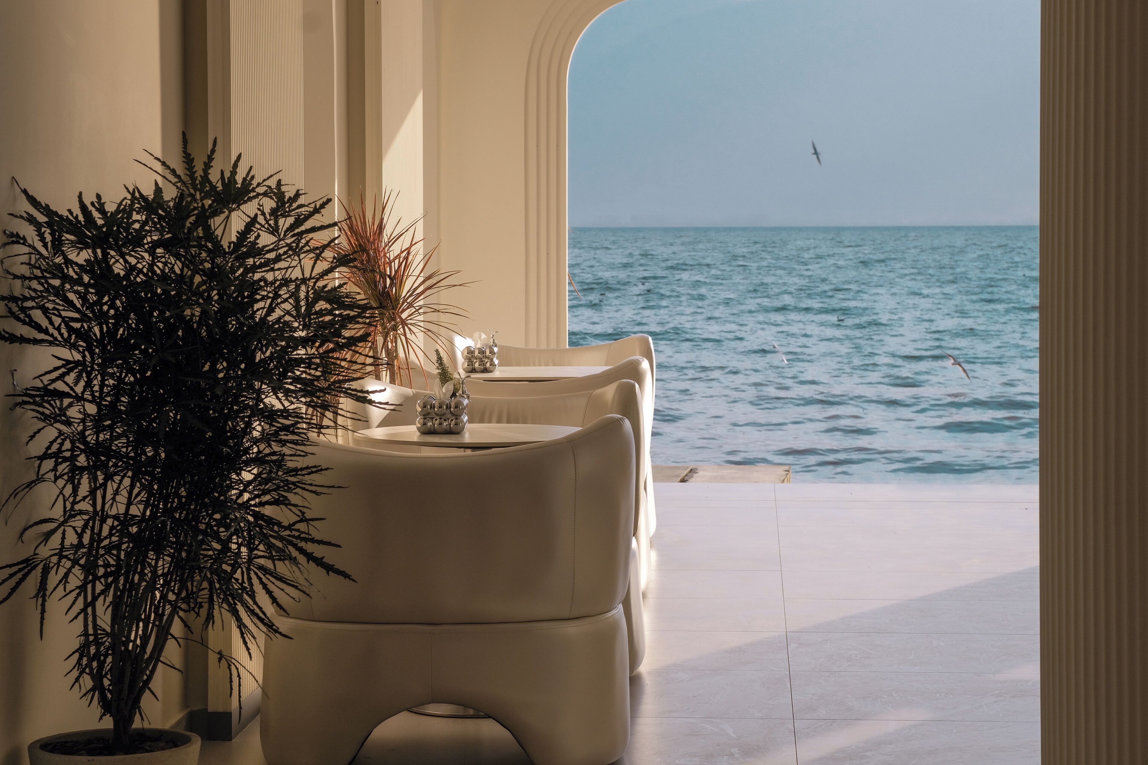 Un espacio para comer frente al mar, con vistas al océano, una planta en maceta y una mesa con sillas.