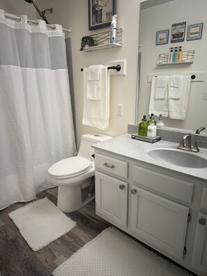 Shower, hair dryer, towels, soap - Quiet, Comfortable Home in Safford, AZ (Safford)