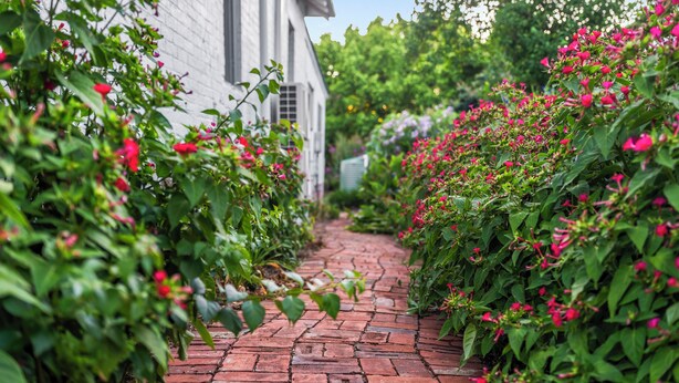 Een met baksteen bestraat pad, omzoomd door weelderige begroeiing en kleurrijke bloemen, dat leidt naar een wit gebouw met een raam.