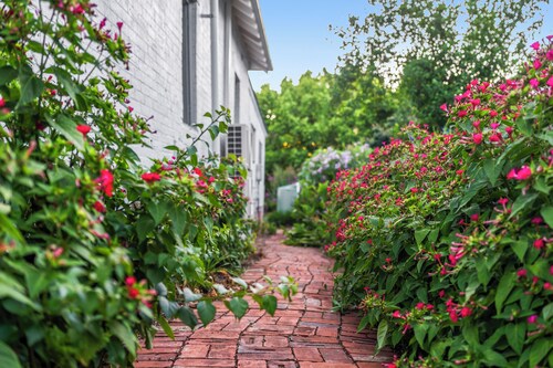 Beautiful period home, with modern comfort. 2 minutes' walk to CBD!