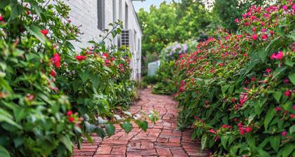 Beautiful period home, with modern comfort. 2 minutes' walk to CBD!