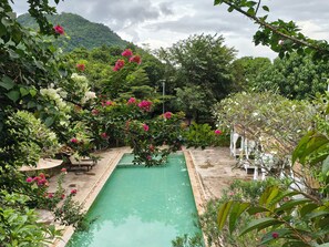 Une piscine rectangulaire entourée d’une végétation luxuriante et de plantes en fleurs.