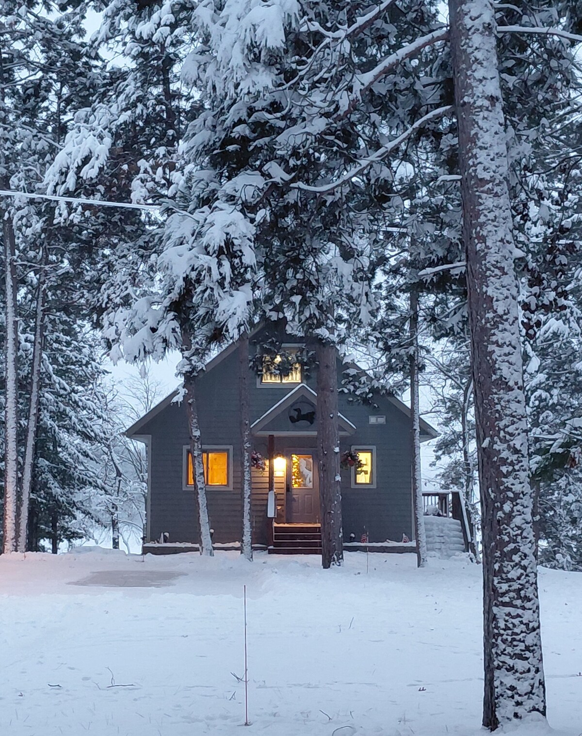 Imagen de perfil del propietario o de la propietaria