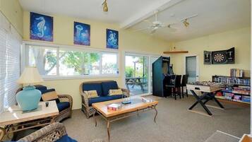 Télévision, cheminée, jeux vidéo, lecteur de DVD