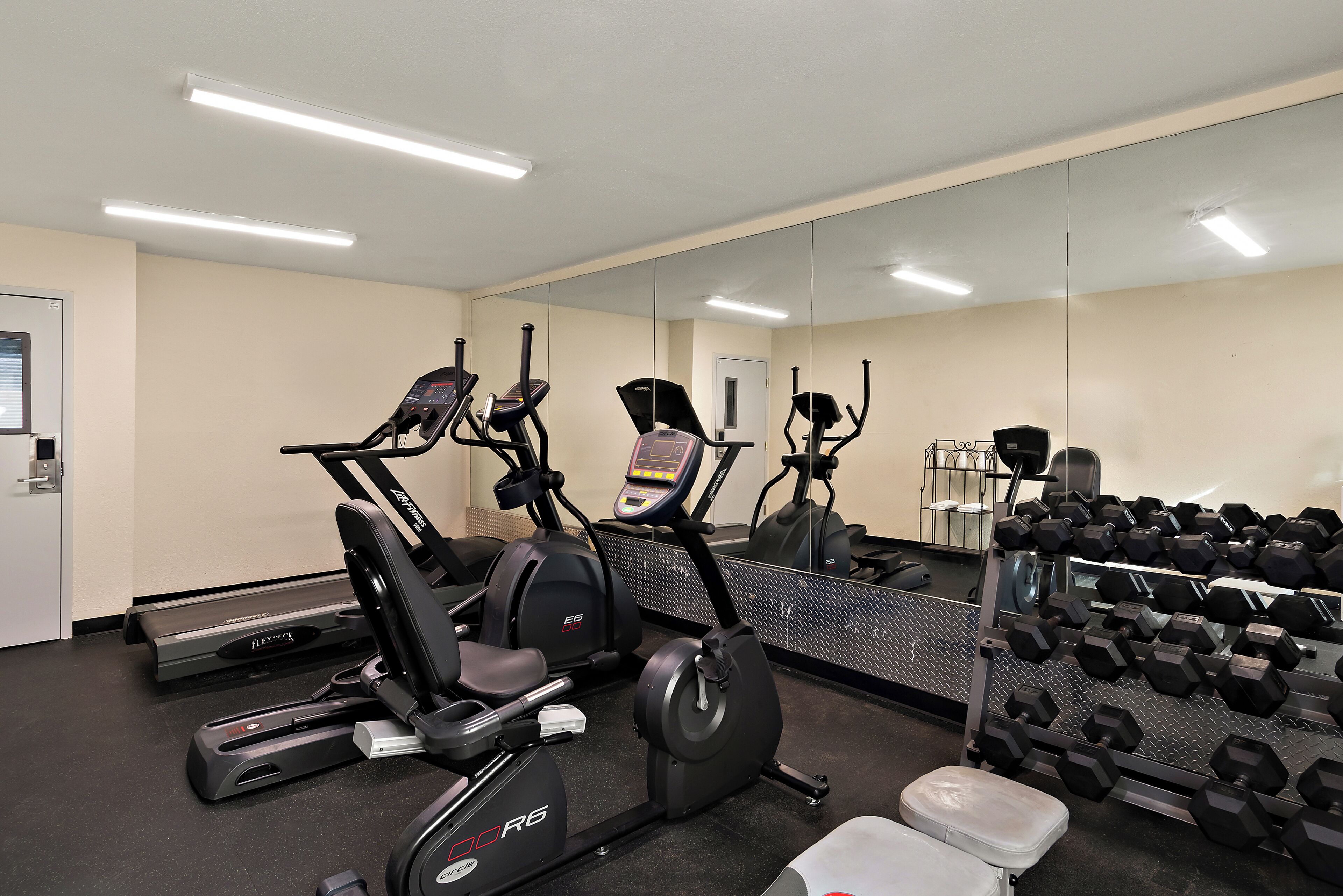 A gym with cardio machines, a bench, and a rack of dumbbells.