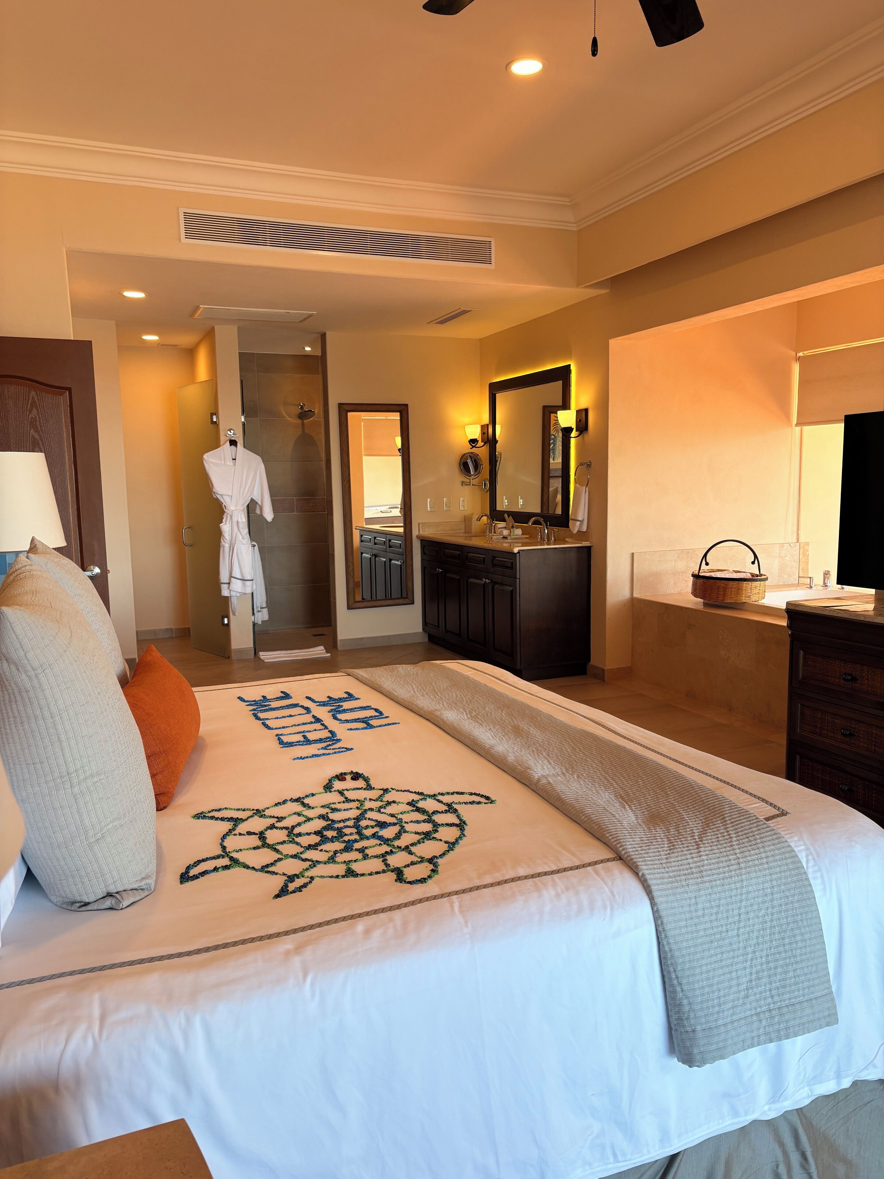 Silitysrauta/-lauta, Wi-Fi