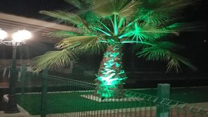 Una palmera iluminada con luces verdes, una cerca de metal y un farol.