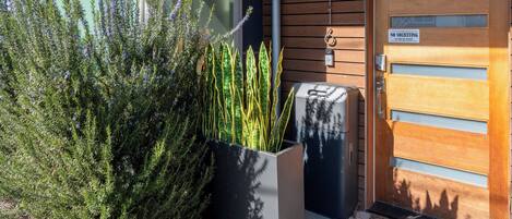 A modern building entrance with a wooden door, a metal mailbox, and a planter with green plants.