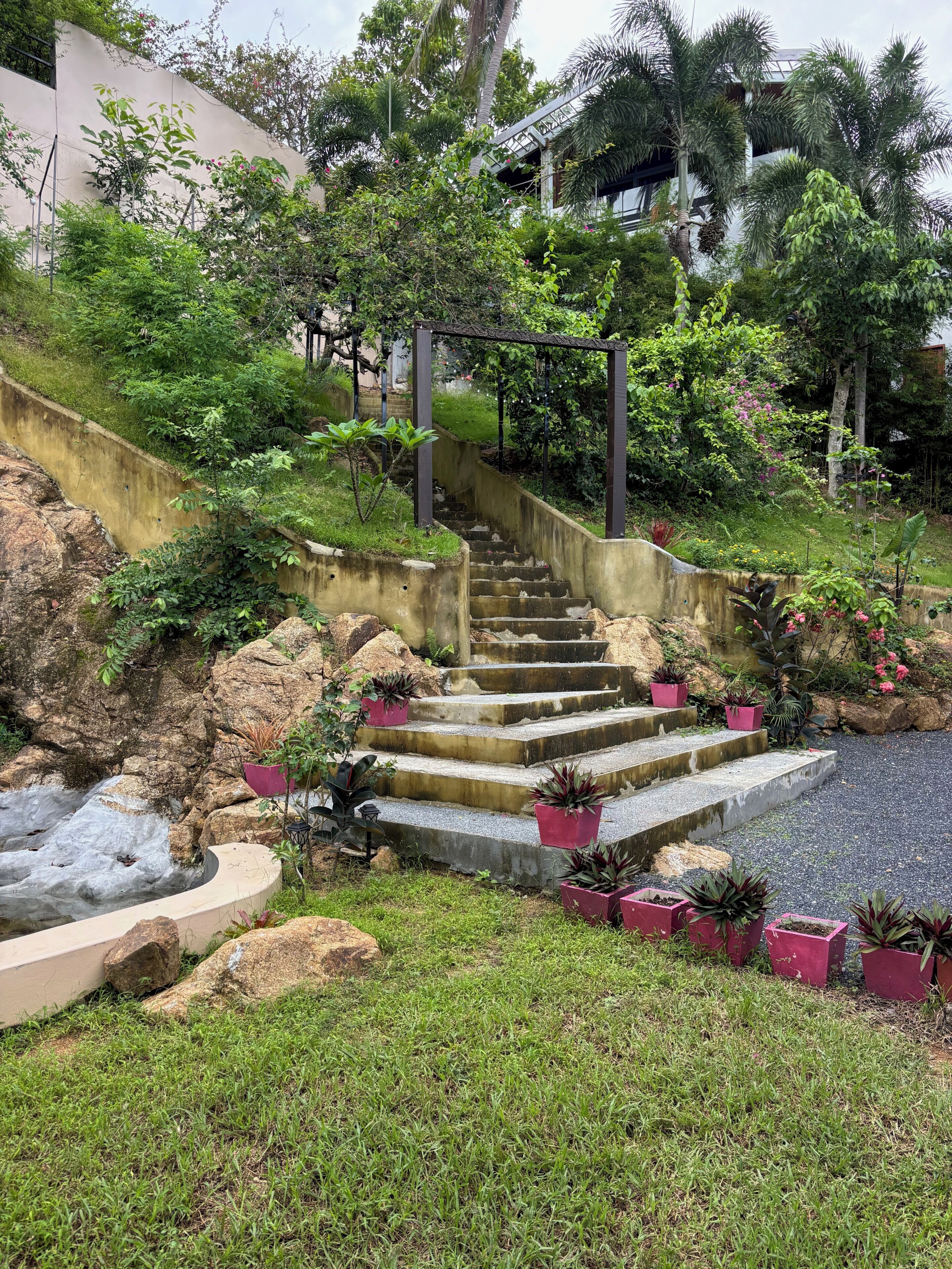 Una escalera de concreto con macetas rosadas, rodeada de follaje y un pequeño elemento acuático.
