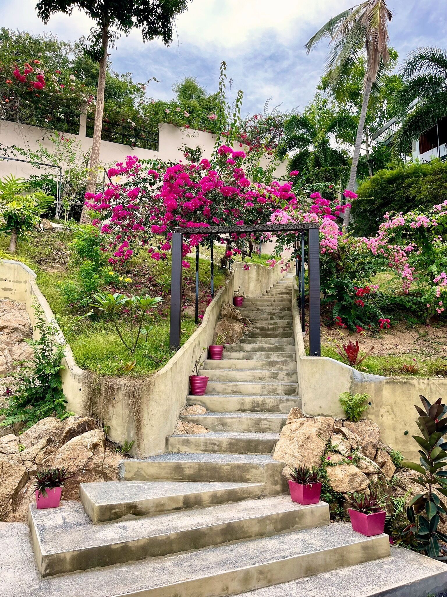 Una escalera de concreto que sube hacia una pérgola adornada con flores rosadas, rodeada de abundante follaje y rocas.