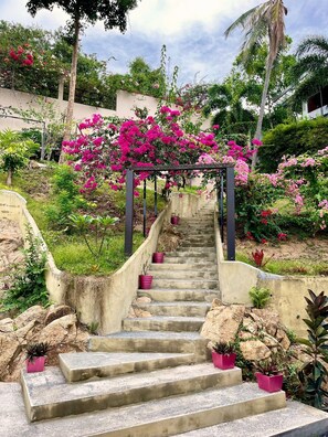 A concrete staircase leading up to a pergola with pink flowers, surrounded by lush greenery and rocks.