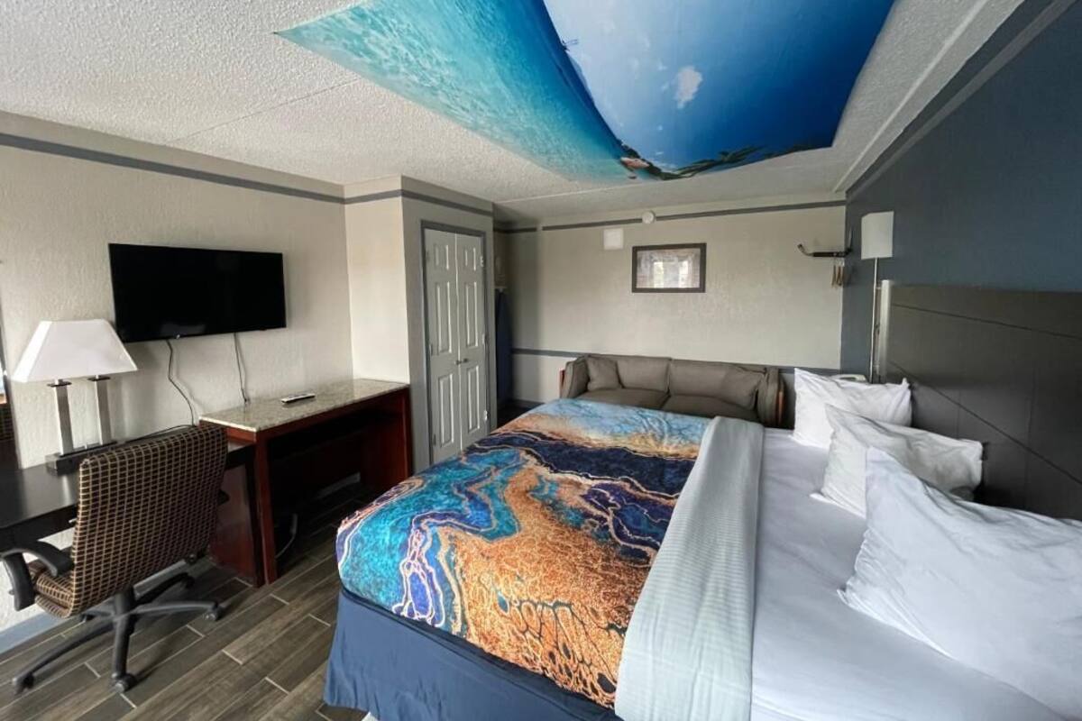 Comfort Single Room | WiFi (free)