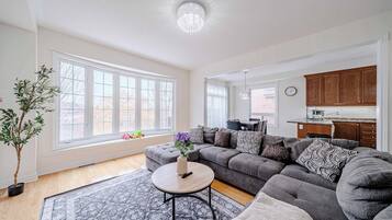 TV connectée, cheminée, livres