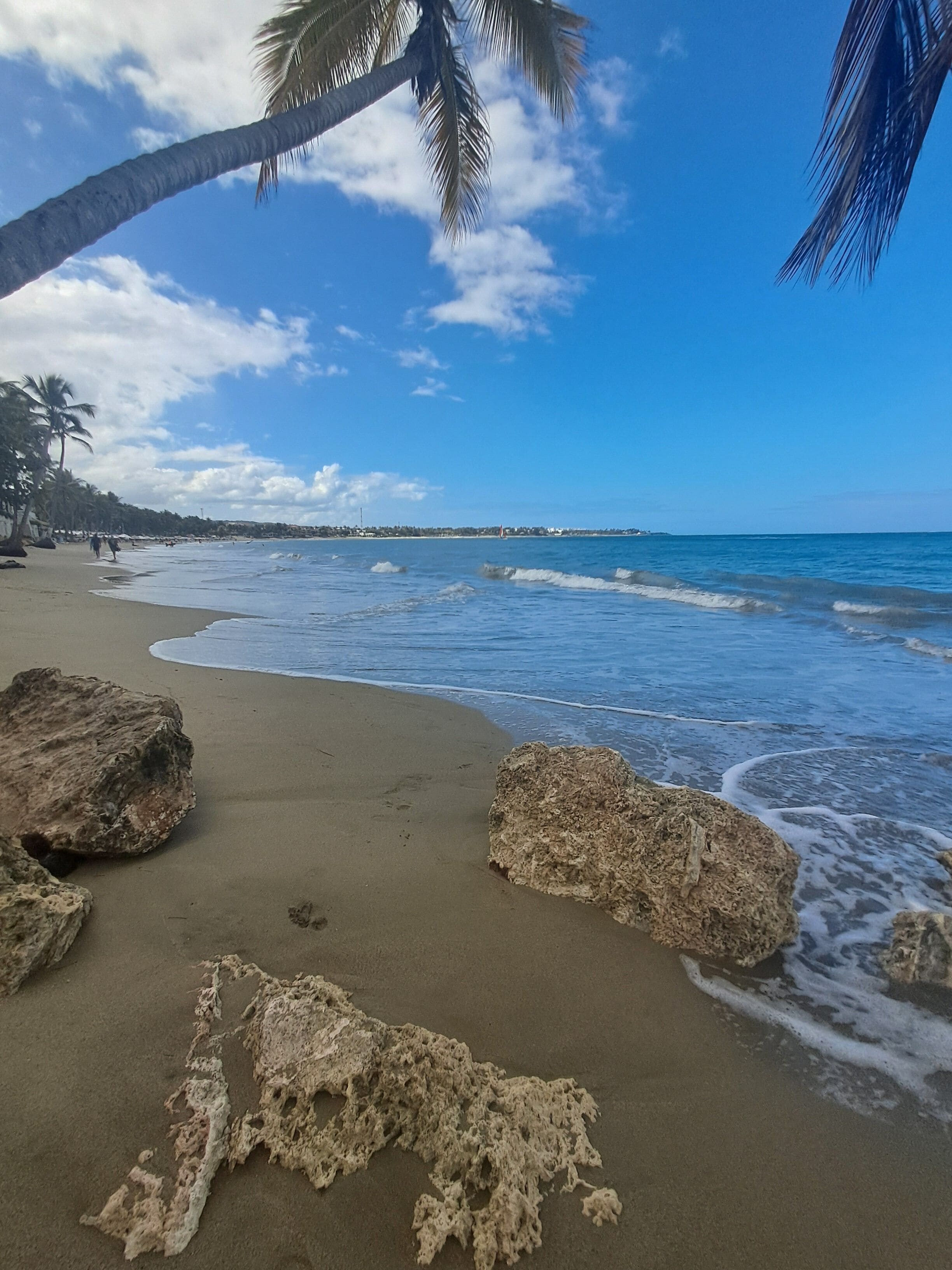 بالقرب من الشاطئ