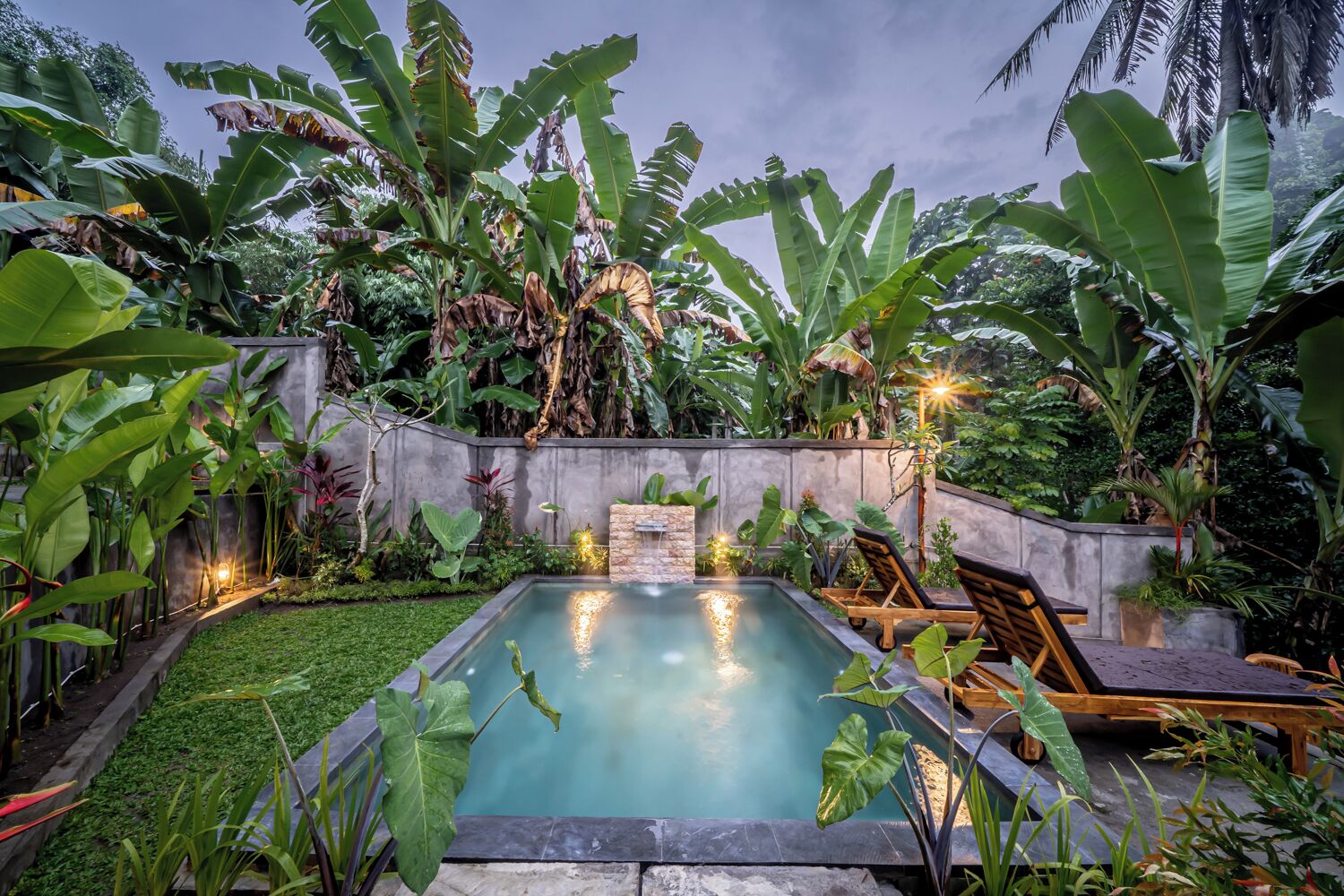 A rectangular swimming pool surrounded by lush tropical plants and a stone wall.