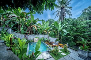 Un área de piscina con sillas de descanso, rodeada de exuberante vegetación tropical y una palmera.