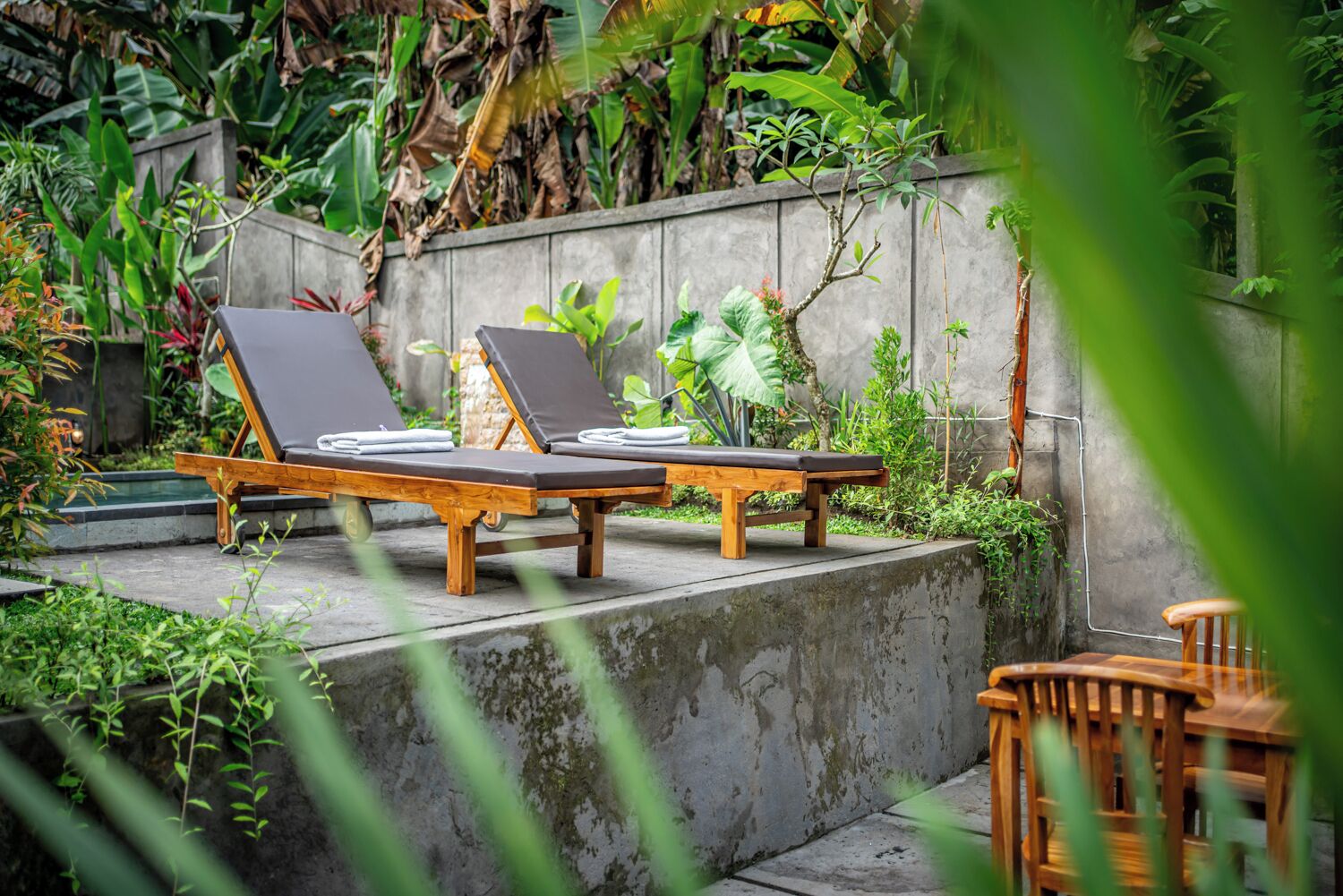 A garden with two wooden lounge chairs and a small table.
