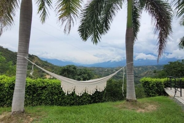 Un hamac tendu entre deux palmiers, offrant une vue sur un paysage verdoyant et luxuriant.