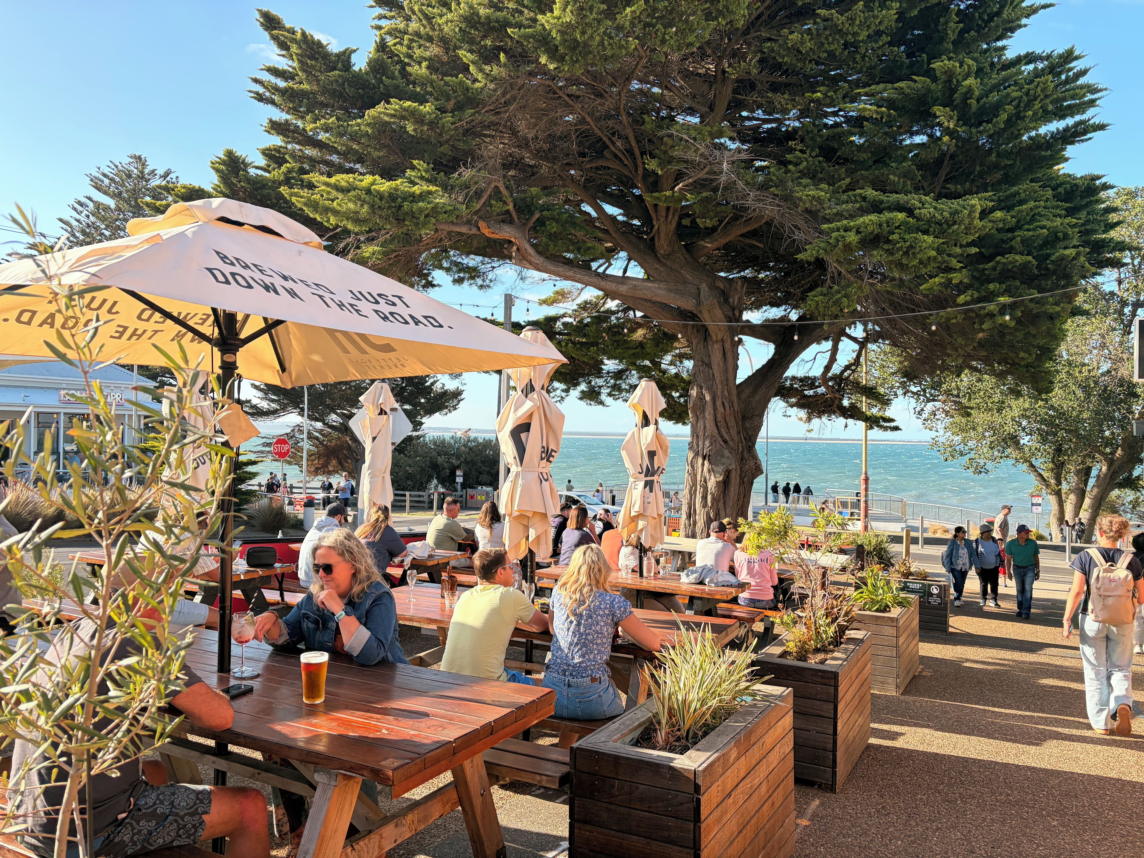 An outdoor dining area with wooden tables and benches, surrounded by large trees and overlooking a body of water.