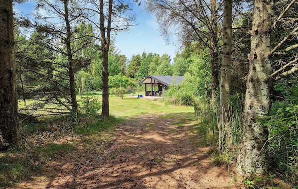 Ein bewaldeter Pfad führt zu einer Hütte mit einer Veranda und Außenbestuhlung.
