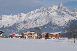 Esterni