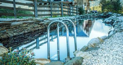 Vacation apartment near Zell am See Swimming pond Sauna Quiet location Dogs allowed