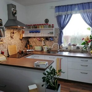 Fridge, oven, stovetop, electric kettle - Holiday Home Paunovaca (Erdut)
