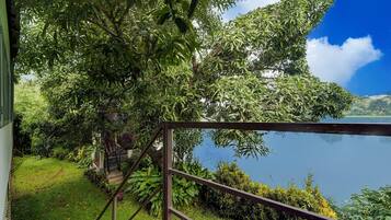 House | Property grounds