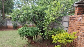 Un jardín ajardinado con diversos arbustos y árboles, un muro de ladrillo y un césped.