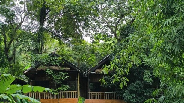 Property grounds - Hill Tribe Art House (Tambon Mae Yao)