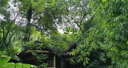 Hill Tribe Art House