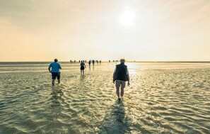 Fishing - Lovely home in Lauwersoog with WiFi (Lauwersoog)