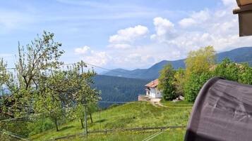 Ărea da propriedade