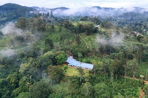 A house surrounded by lush greenery and misty hills. - The 6th Milepost Tea Bungalow Bandarawela (Mirahawatta)