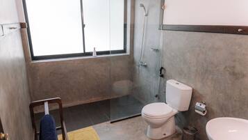 A bathroom with a toilet, bidet, and shower.