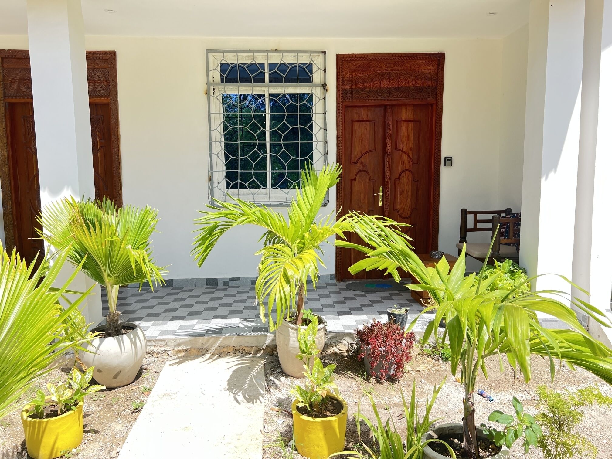 Un espacio al aire libre cubierto con plantas en macetas, una ventana con rejas de metal y una puerta de madera.