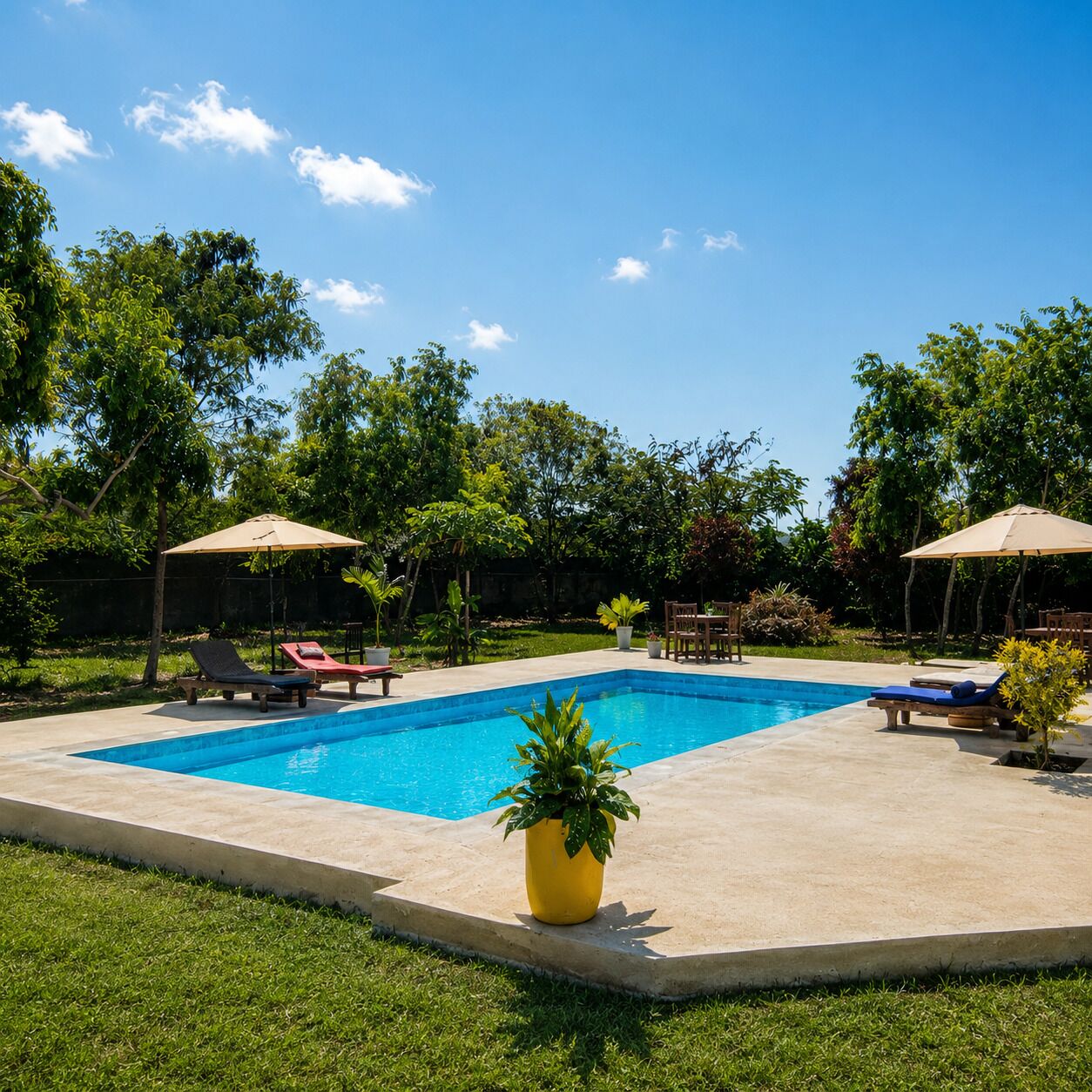 Una piscina rectangular con borde de hormigón, rodeada de césped y árboles.