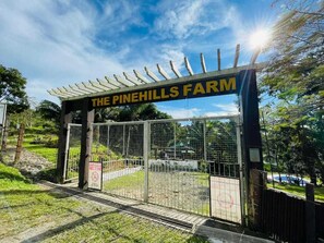 Room - 1193 Pinehall Farm Rizal (Antipolo)