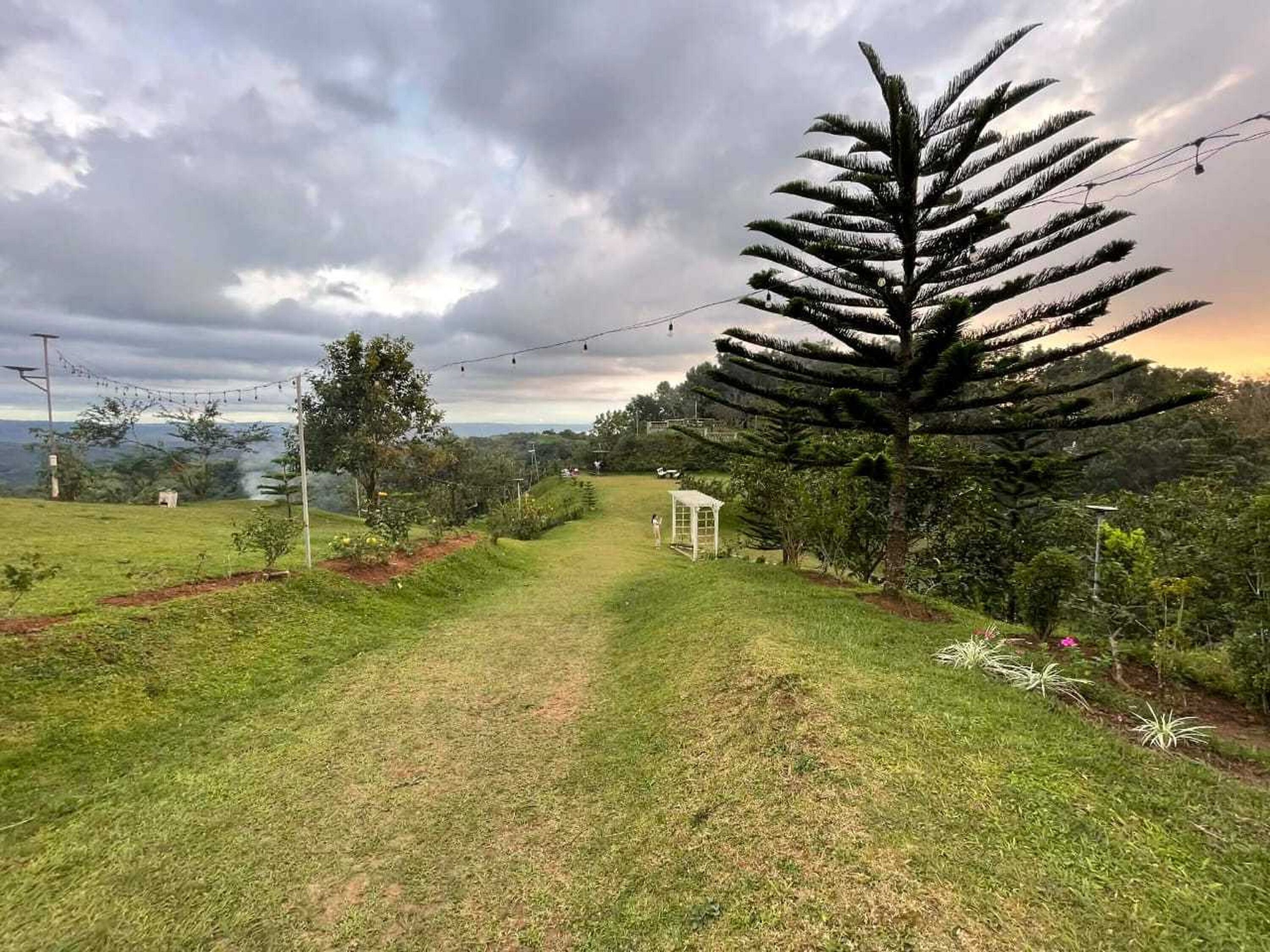 A pathway leading through a grassy area with a large tree on the right and a small structure in the distance.