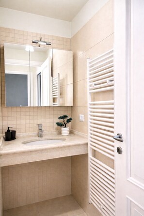 Shower, hair dryer, bidet, towels