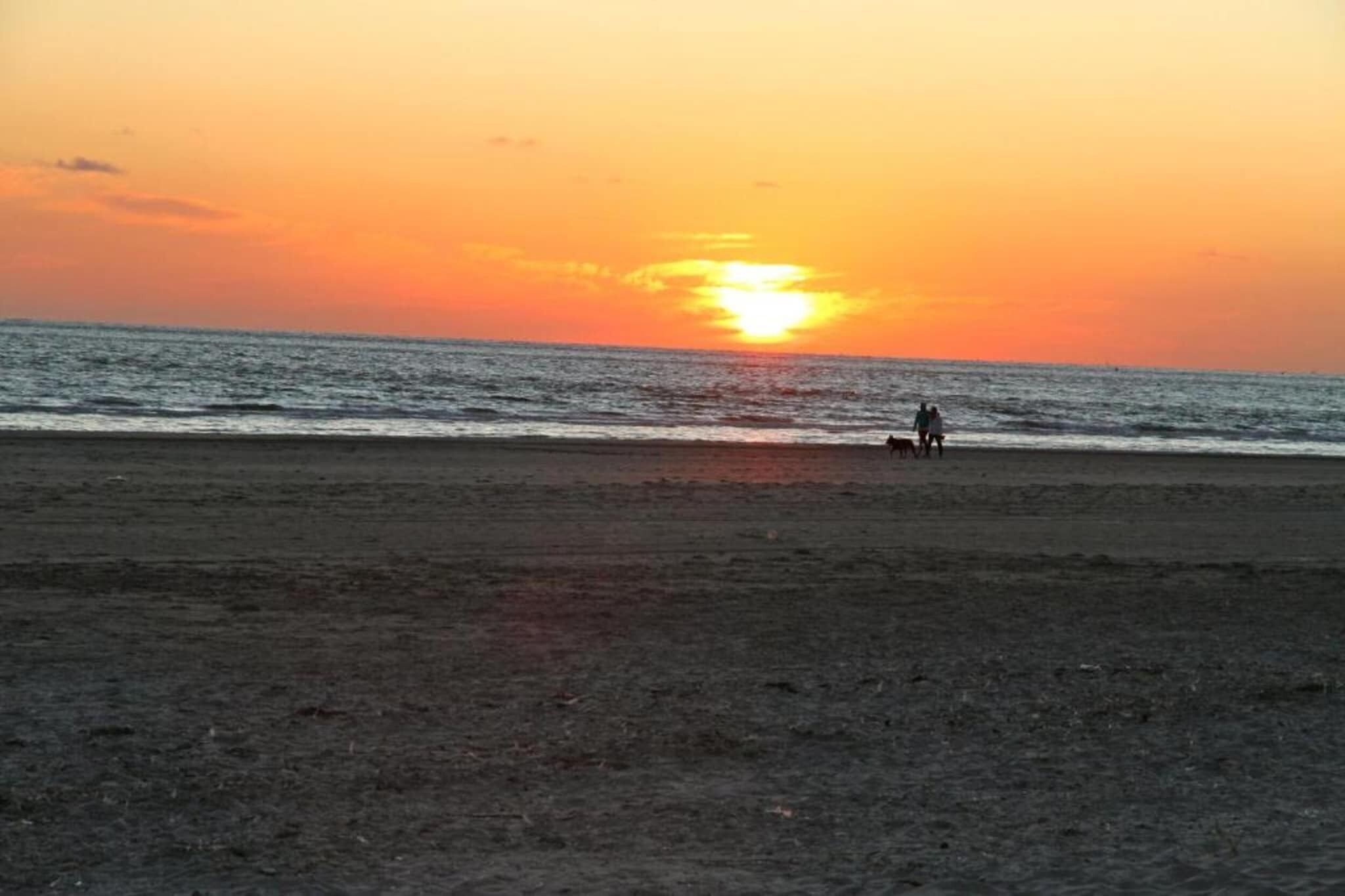 A beach with a sunset, a few people, and a dog.