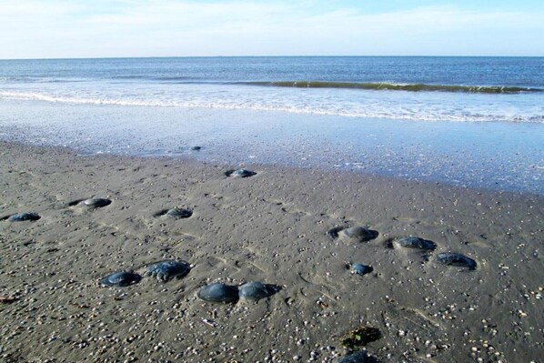 In Strandnähe