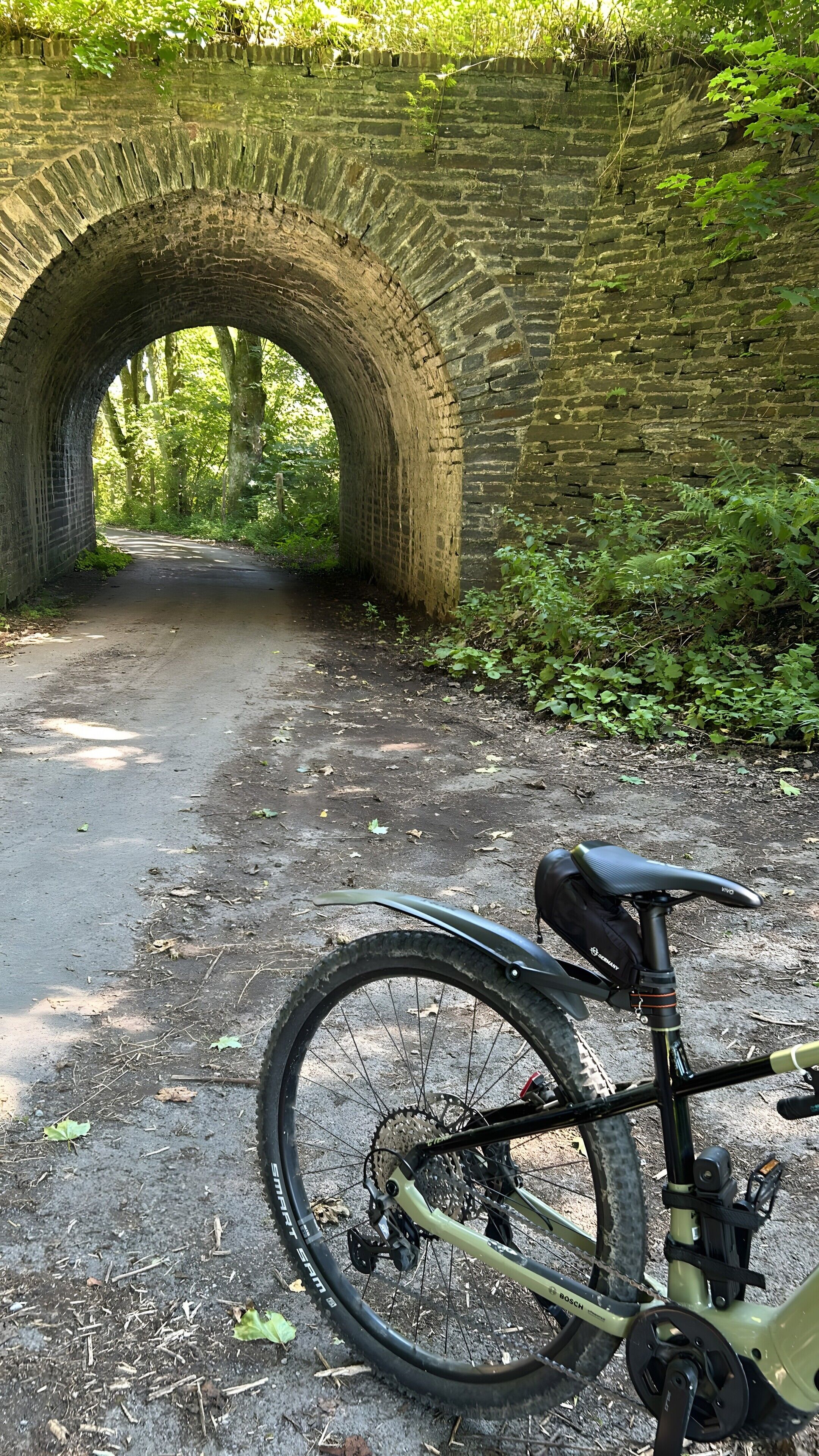 Ein Fahrrad steht unter einer Steinbrücke in einem bewaldeten Gebiet.