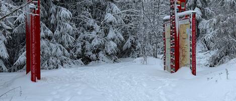 A snow-covered archway with the text 'ROTHAARSTEIG' and 'DER WEG DER SINNE.'