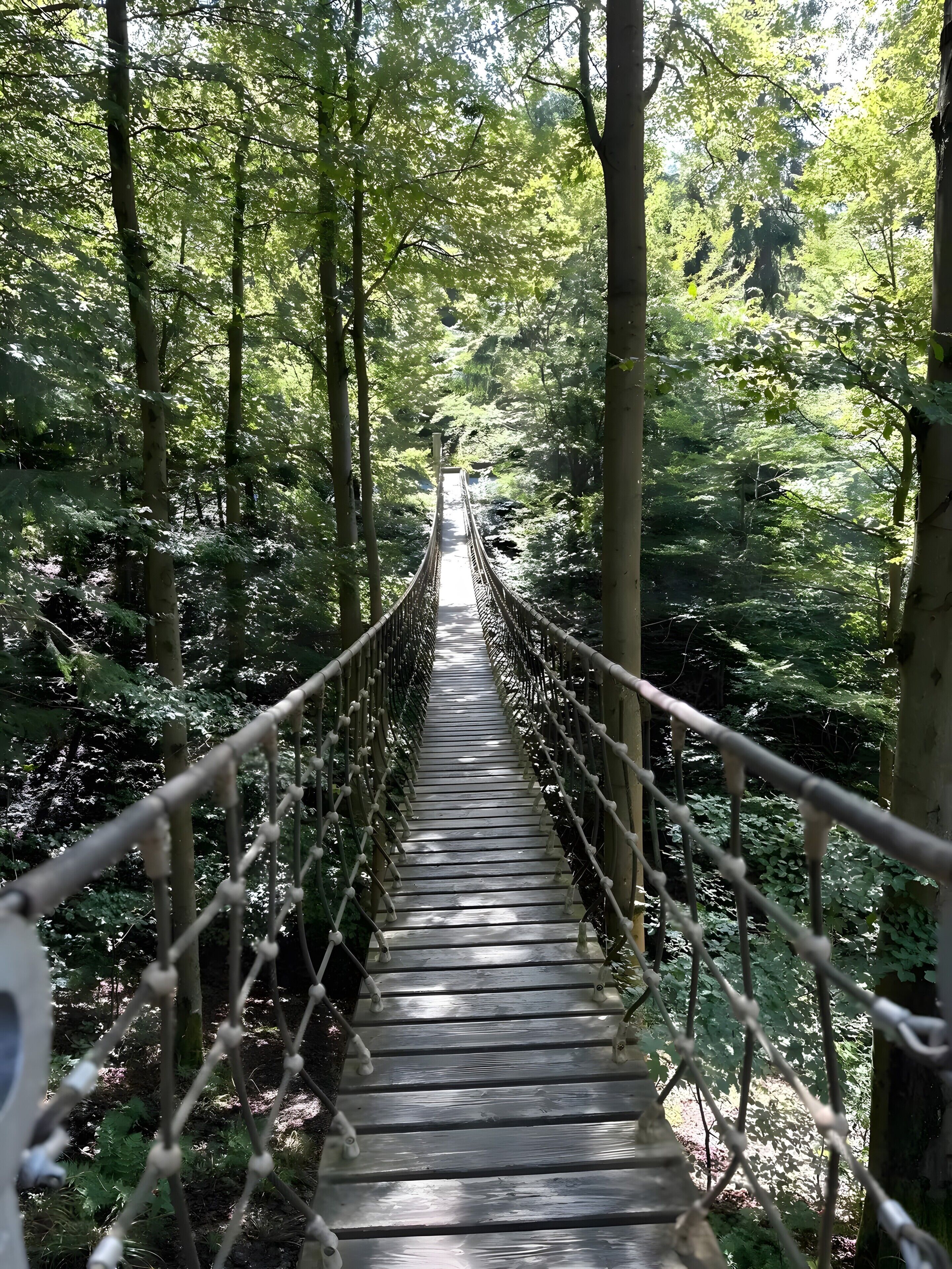 Un pont suspendu en bois, situé dans une zone boisée.