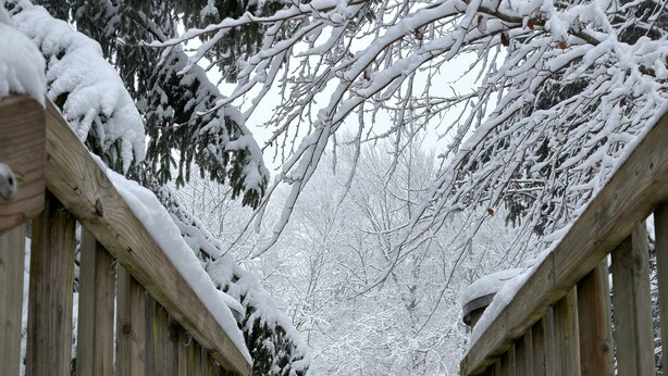 Un puente de madera con barandillas cubiertas de nieve y árboles.