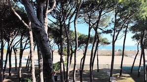 A pathway lined with tall trees leading to a beach area with a fence and a gate. - Cozy flat near the beach (Lido di Jesolo)